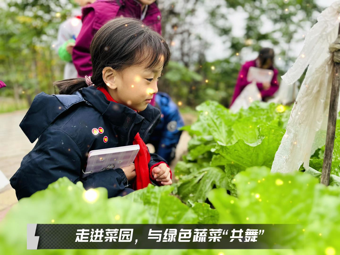 美好學校|留校時光，走出教室，與綠色蔬菜共舞